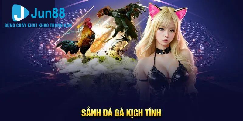 Nhiều kèo cược khác nhau